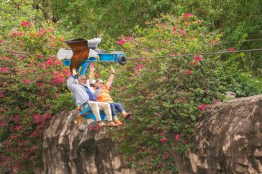 Soaring Eagle Zipline en Gladys Porter Zoo en Brownsville