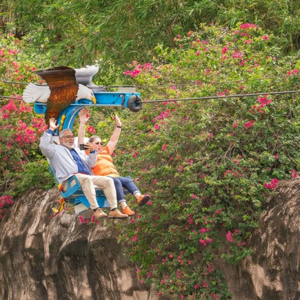 Soaring Eagle Zipline en Gladys Porter Zoo en Brownsville